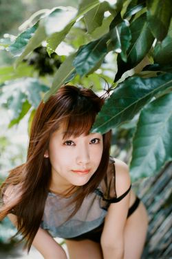 外企女白领